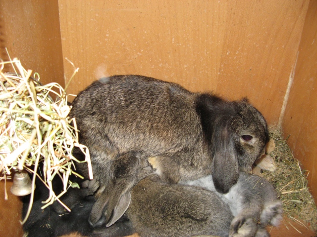 IMG_5736.JPG